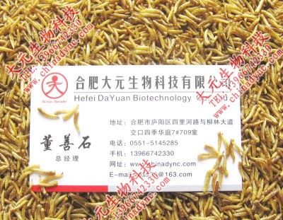 合肥大元生物科技有限公司