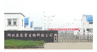 湖北巨龙堂生物科技发展有限公司