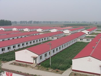 山东中超牧业牛羊驴养殖基地