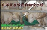 三宝农牧科技服务中心