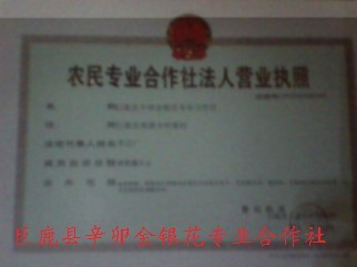 巨鹿县辛卯金银花专业合作社