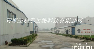 石家庄福泰生物饲料有限公司