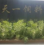 洪湖浪饲料集团
