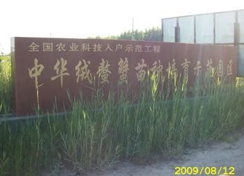 安徽宣城蟹苗基地有限公司