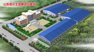 泰安微尔生物科技有限公司