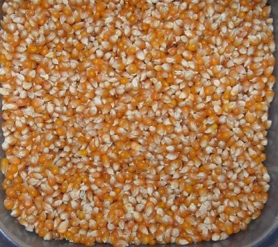 武汉达福饲料有限公司