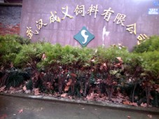 武汉市东西湖成义饲料（厂）有限公司
