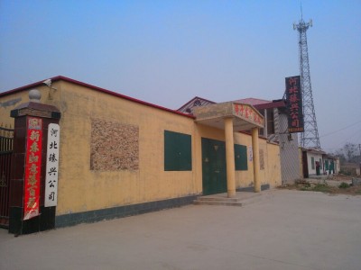 巨鹿臻兴饲料销售有限公司