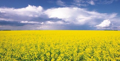 厦门龙崛贸易有限公司