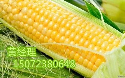 武汉红福星养殖专业合作社