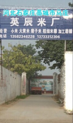 英辰米业有限公司