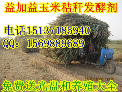 益加益生物工程有限公司