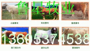 嘉祥县梁宝寺供销合作社