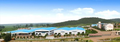 山东省同泰维润化工有限公司