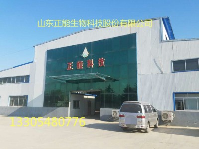 山东正能生物科技股份有限公司