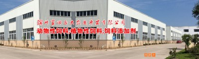 山东富田正大生物科技有限公司
