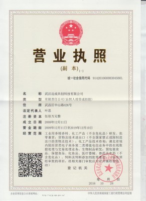 武汉远成共创科技有限公司