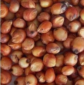 四川温江国家粮食储备库