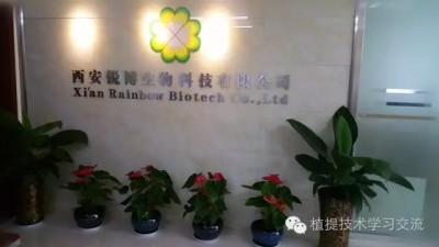 西安锐博生物科技有限公司