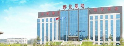 山东大树集团